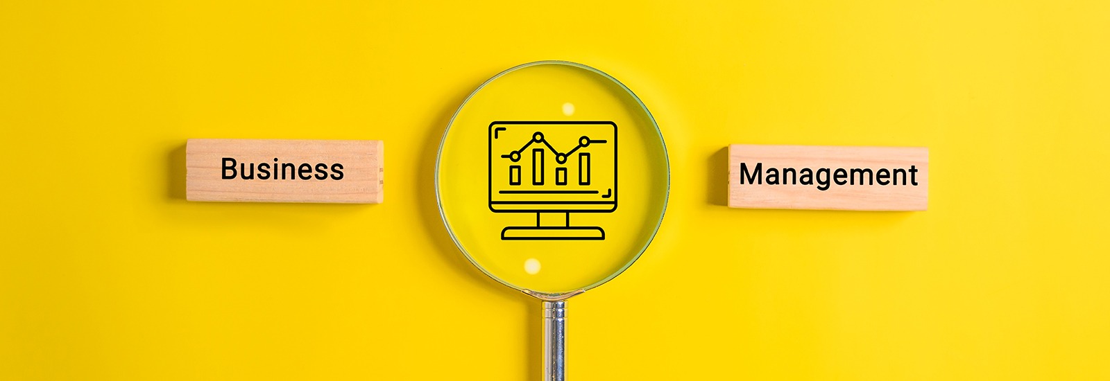 Streamline Your Operations with Zoftware: The Best Business Management Software