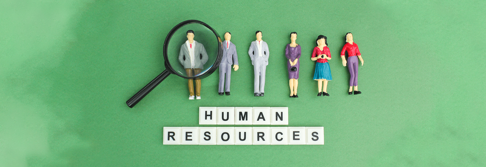 5 Benefits of Using Human Resources Software for Your Team