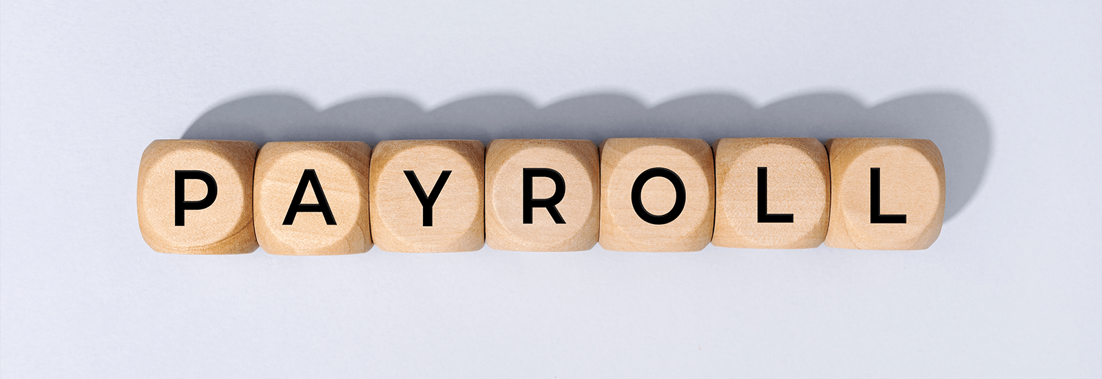 Why Do Small Businesses Need Payroll Software for Efficient Management?