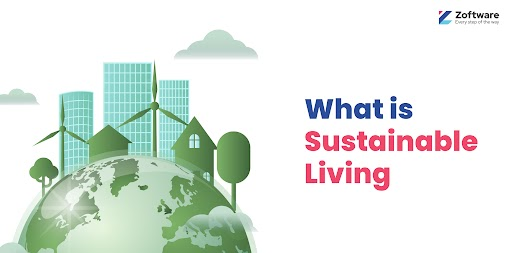 A Guide for Beginners on Sustainable Living: Towards Green Future