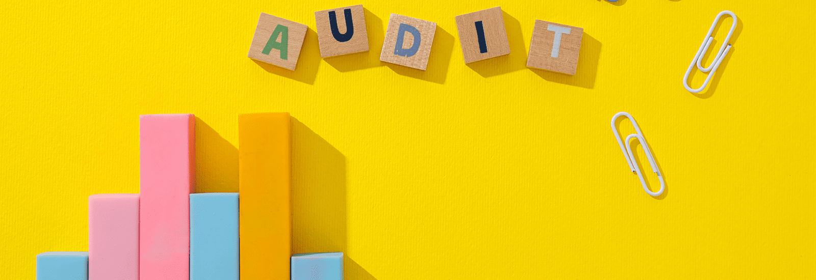 How to Choose the Right Audit Software for Your Business Needs